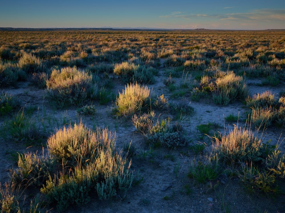Barbara Bidstrup 2016